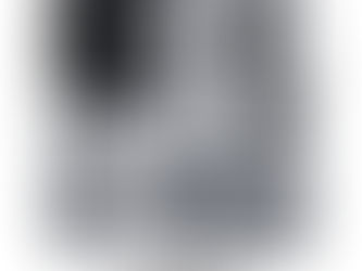 Podcast: De blogs 9 | Bianca