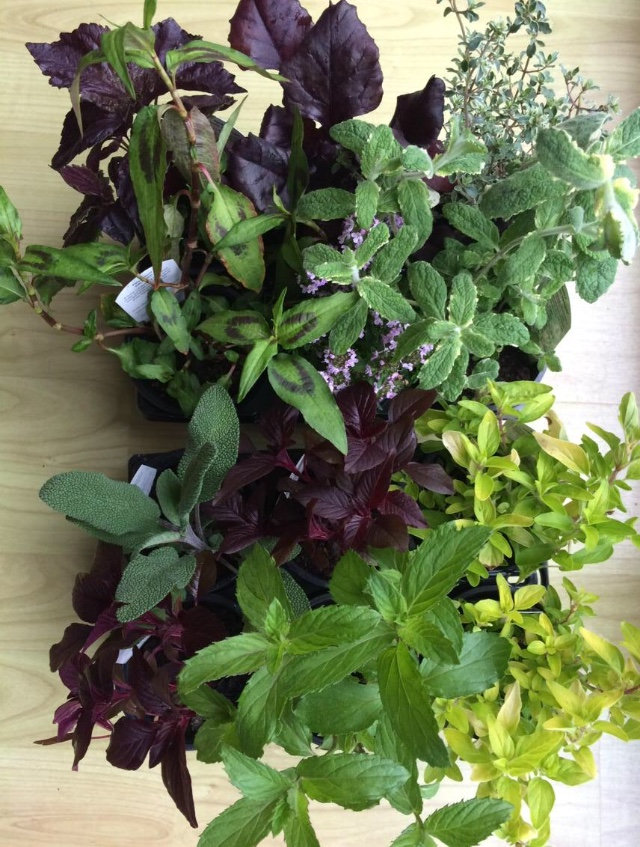 Alton Farmers' Market