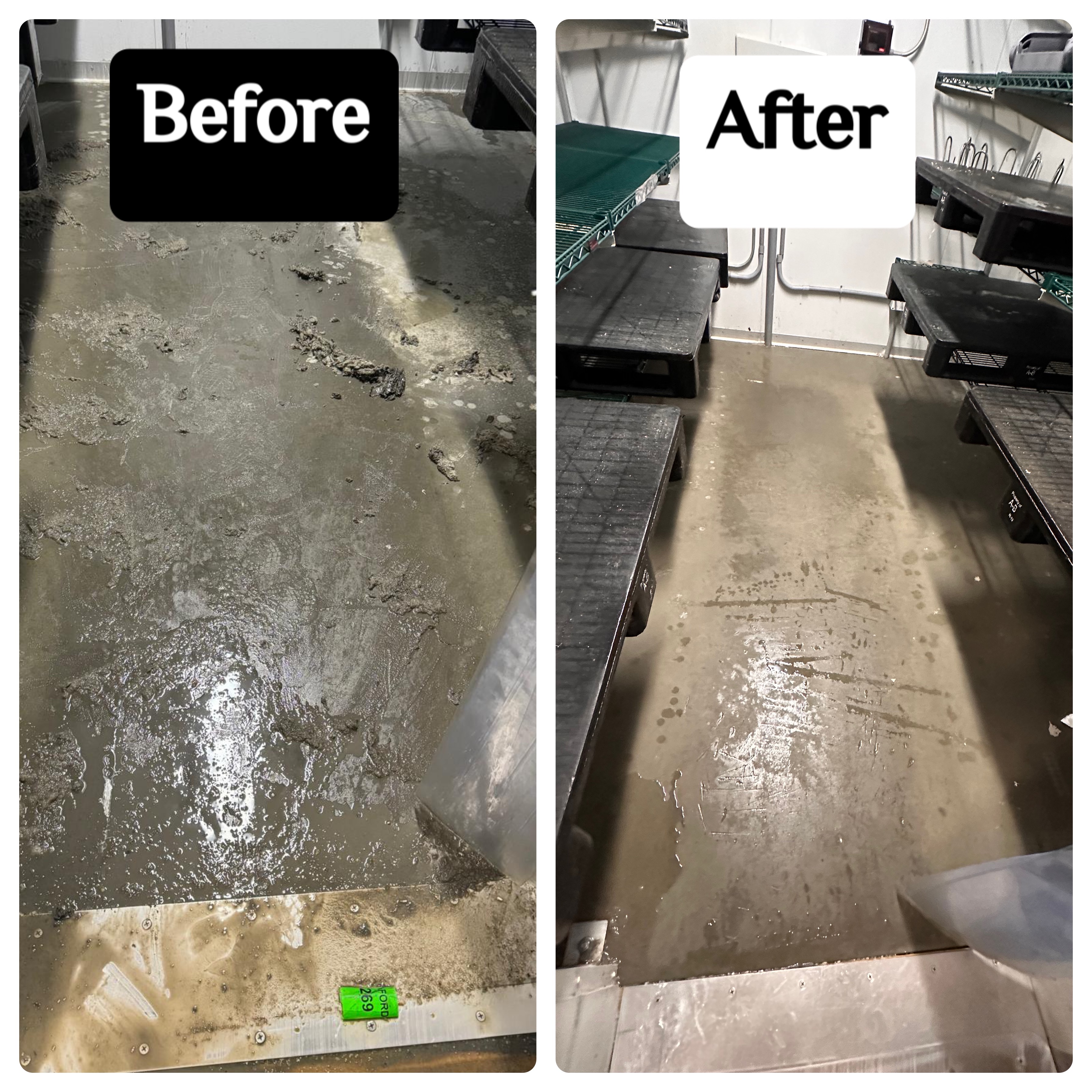 Polished commercial floor