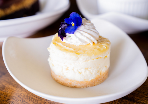 Lilikoi Cheesecake
mac-nut shortbread crust • whipped cream • lilikoi glaze