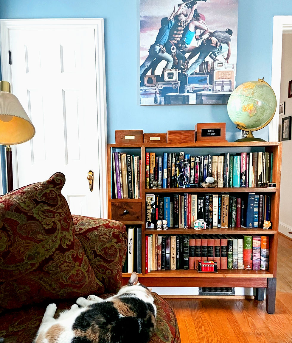 Colleen McIntosh - Author - Furballs are Forever!