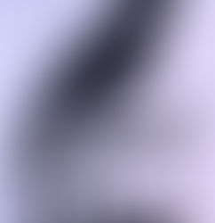 tattoo - blog - Colleen McIntosh - author