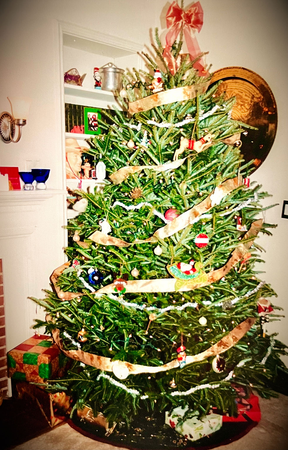 Colleen McIntosh - Author - Dear Santa... My Wish List for Santa!