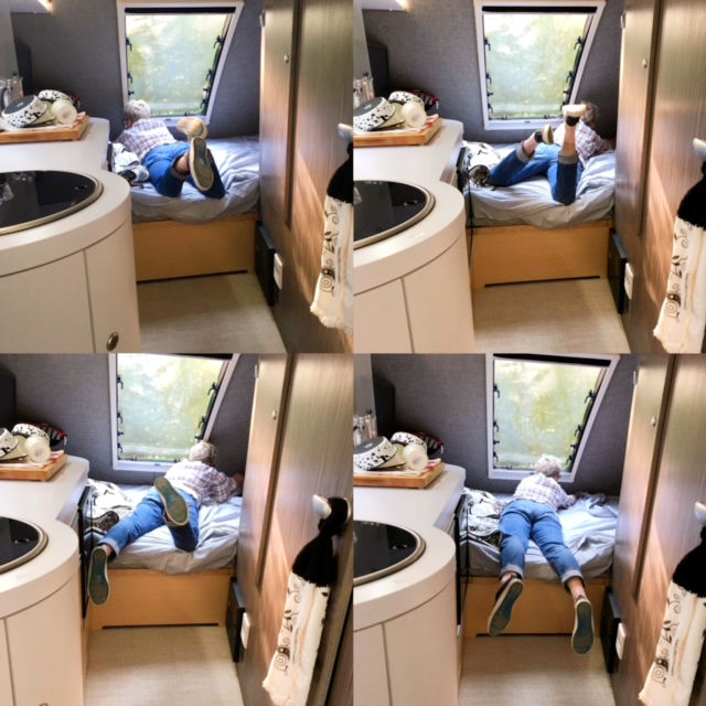 Colleen McIntosh - Author - It's time for a Menopausal update!