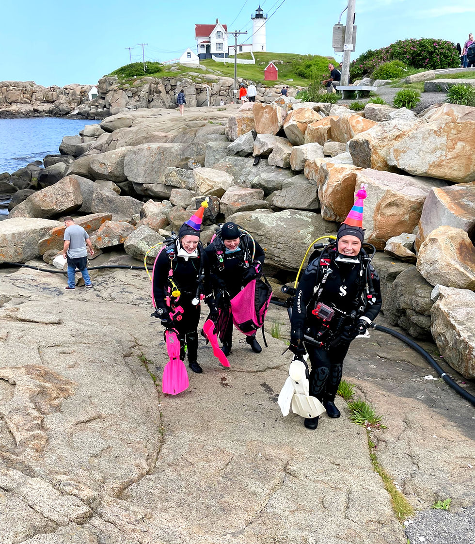 Colleen McIntosh - author - Weddings when dating goes deliciously right