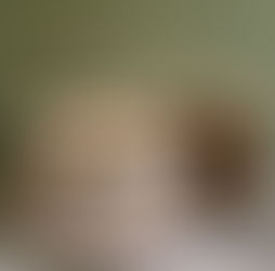 Week 76: Banana Pudding Cake