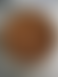 Week 88: Gingerbread Tiramisu