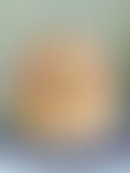 Day 350: Buttercream Flower Cake