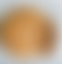 Day 341: No-Knead Whole Wheat Bread