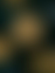 Week 50: Cowboy Cookies (Wyoming)