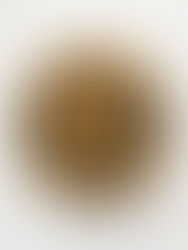 Week 48: Shoofly Pie (West Virginia)