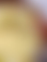 Week 9: Key Lime Pie (Florida)