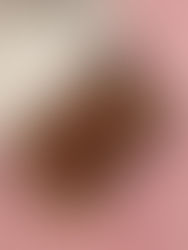 Week 35: Buckeye Brownies (Ohio)