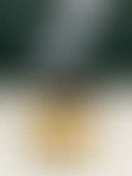 Week 49: Cream Puffs (Wisconsin)