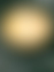 Week 46: Chess Pie (Virginia)