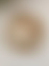 Week 47: Apple Crisp (Washington)