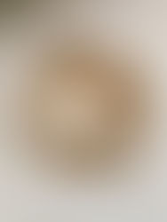 Week 47: Apple Crisp (Washington)