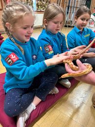 Beaver Sleep Over Gravesham Scouts