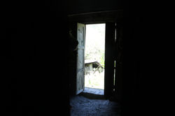 IMG_1945