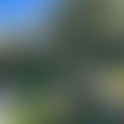 First glances can be deceiving: Larnach Road