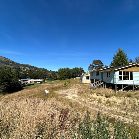 A hidden gem in Mosgiel: McFadden Drive