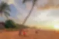 san-pancho-beach-swing-sunset.jpg.webp