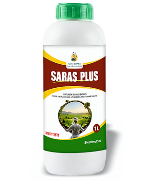 Saras Plus_edited.png