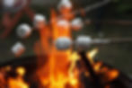 Elkhorn, WI Campgrounds Community Fire Pit