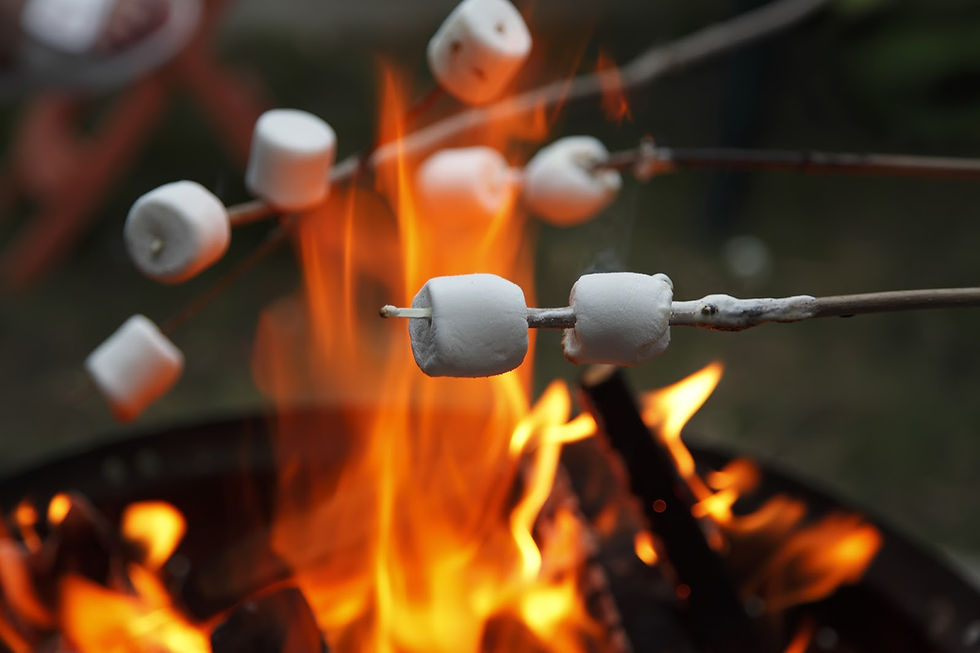 Elkhorn, WI Campgrounds Community Fire Pit