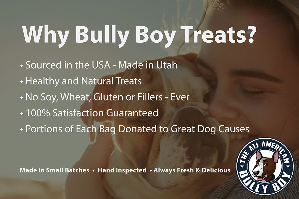 Thumbnail: 15 Ounce Beef Training Nibs - Made in Utah, USA Sourced