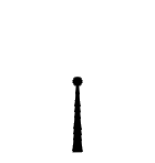 live.gif