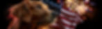 AdobeStock_2073523134.jpeg