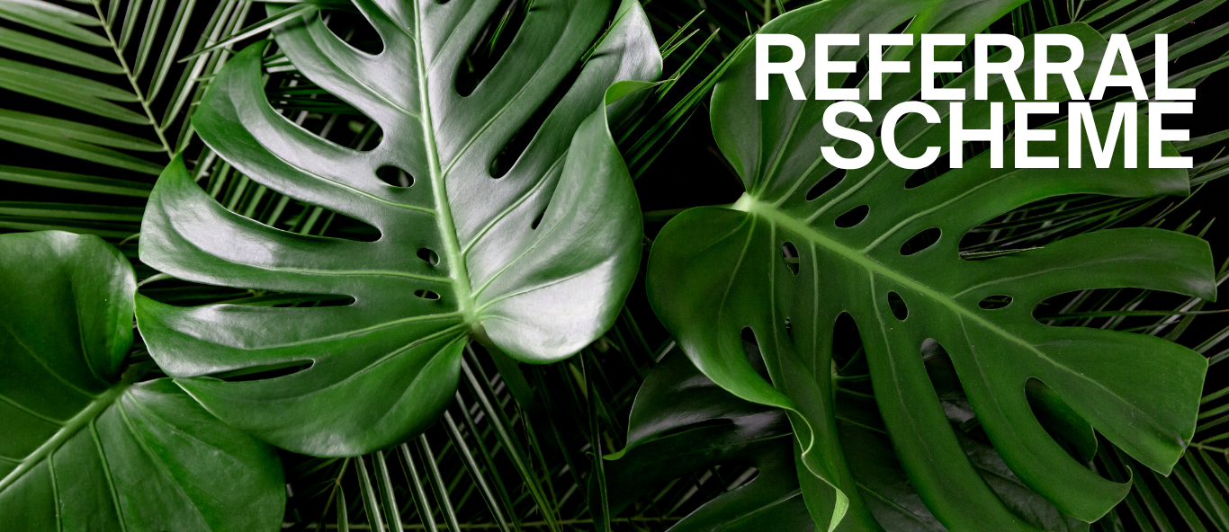 Referral Scheme Header.png