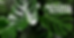 Referral Scheme Header.png