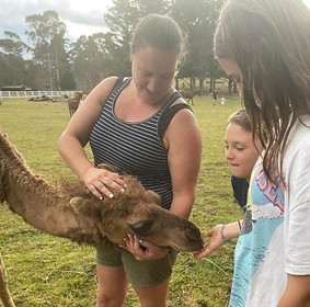 People patting a camel