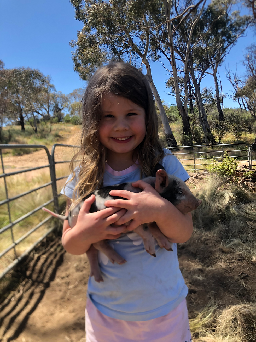 A girl cuddling a piglet