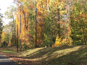 Celebrate Fall Color!