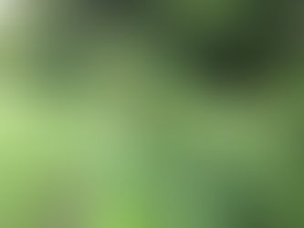 Confessions of a Native Plant Addict