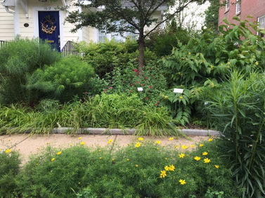 Sidwalk garden