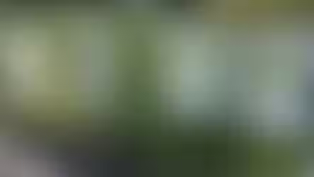 Judging a Plant by its Label