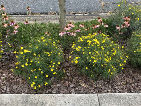 A new take on “curb appeal”