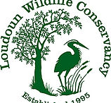 LWC Logo-green_300px (002).jpg