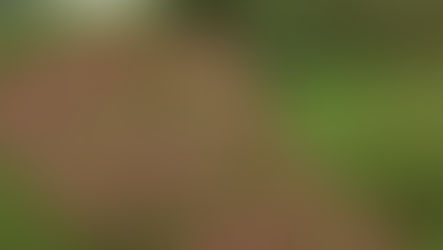 Your yard can help save our streams