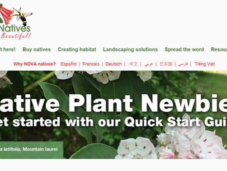 Questions about native plants? This website is your “go-to” place!