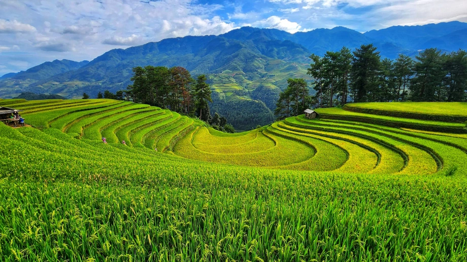 the-soothing-beauty-of-the-green-season