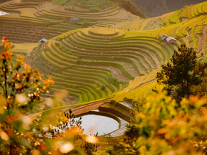 Discover Mu Cang Chai in February: A unique experience
