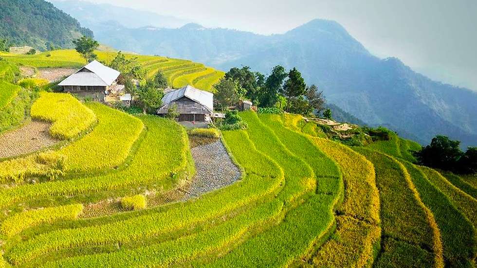 midday-lunch-picnic-sin-chai-village-exploration