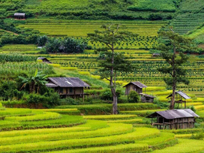 Lim Mong Village: A cloud-chasing adventure in the heart of the Northwest