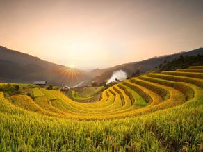 Sang Nhu: The Golden Horseshoe of the Northwest mountains