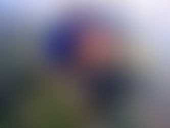 Paragliding from Ham Rong Mountain: A Scenic Way to See Sa Pa from Above